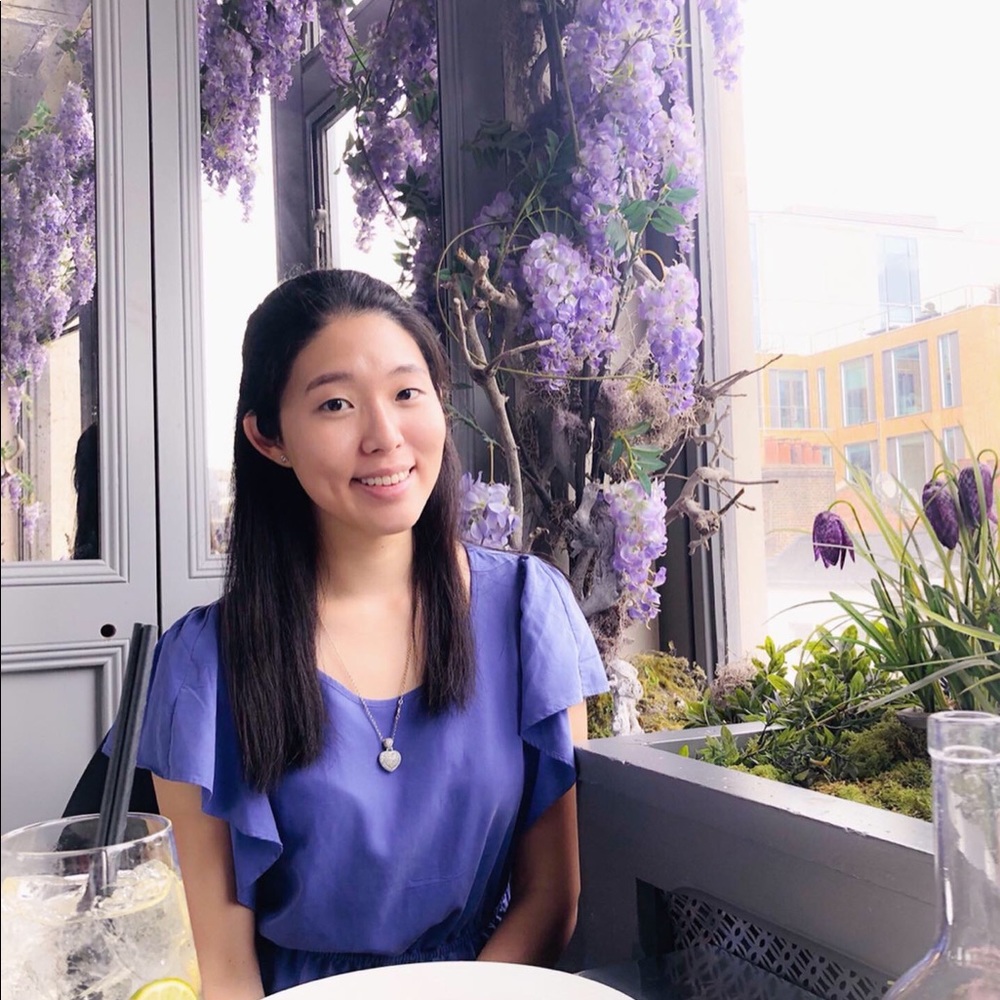 Express periwinkle blouse top